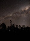 Overland Track Photography Tour - September 1st to 7th - 2022