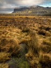 Overland Track Photography Tour - September 1st to 7th - 2022