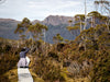 Overland Track Photography Tour - September 1st to 7th - 2022