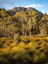 Overland Track Photography Tour - September 1st to 7th - 2022