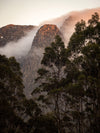 Overland Track Photography Tour - September 1st to 7th - 2022
