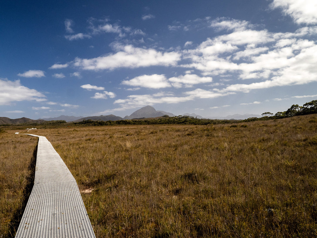 Southwest Wilderness 3-Day Camp - October 30th to Nov 1st - 2022 - Melaleuca - Bathurst Harbour - PhotoTour