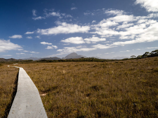 Southwest Wilderness 3-Day Camp - October 30th to Nov 1st - 2022 - Melaleuca - Bathurst Harbour - PhotoTour