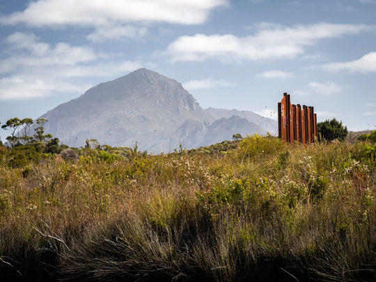 Southwest Wilderness 3-Day Camp - October 30th to Nov 1st - 2022 - Melaleuca - Bathurst Harbour - PhotoTour