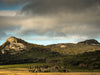 Flinders Island Fotografieworkshop - 13 tot 18 mei 2023 - UITVERKOCHT!!!