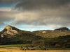 Flinders Island Photography Workshop - May 13th to 18th 2023 - SOLD OUT!!!