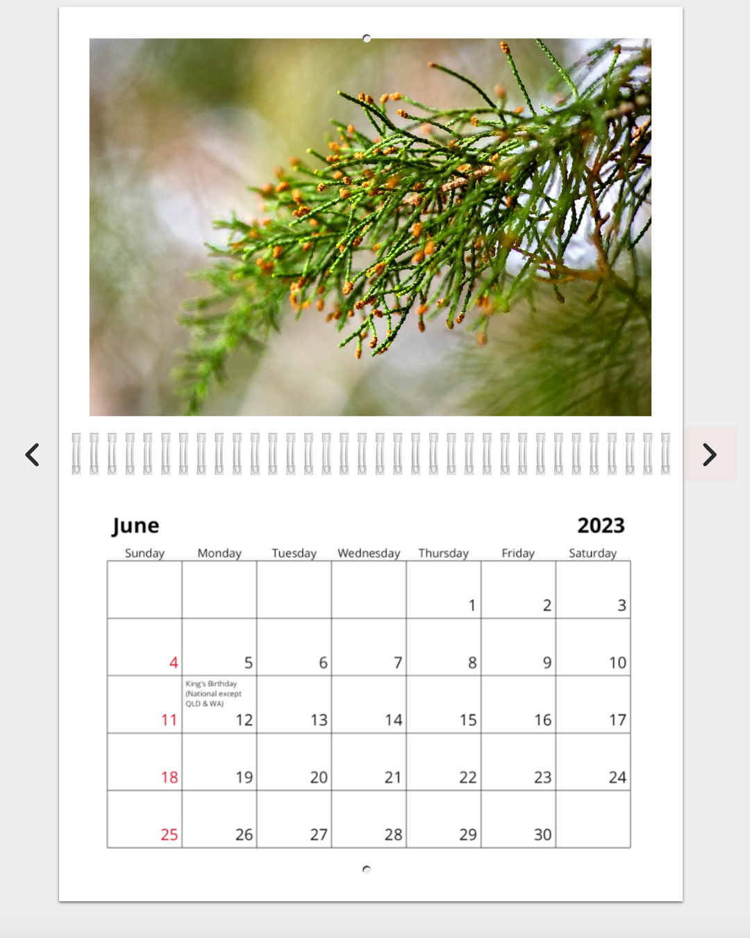 Franklin River - 2023 Calendar (A4)