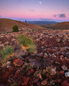 Ikara - Flinders Ranges &amp; Lake Eyre Workshop - 19 tot 24 september 2022 - nog 2 plaatsen!!! 