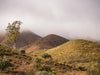 Ikara - Flinders Ranges & Lake Eyre Workshop - Sept 19th to 24th 2022 -2 Places Left!!!